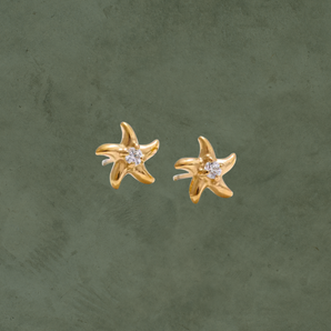 Aretes Estrella de Mar con Zirconia